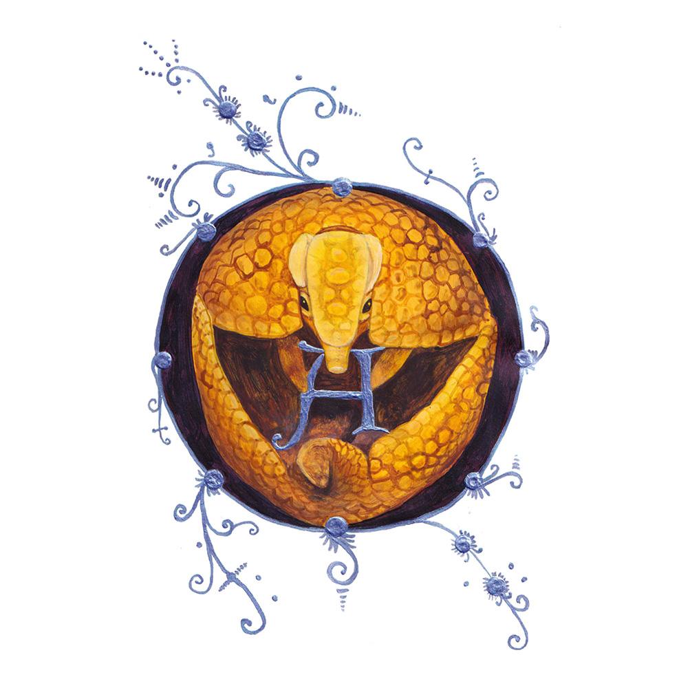 Armadillo