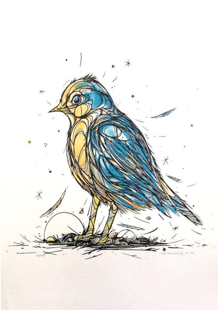 Birding