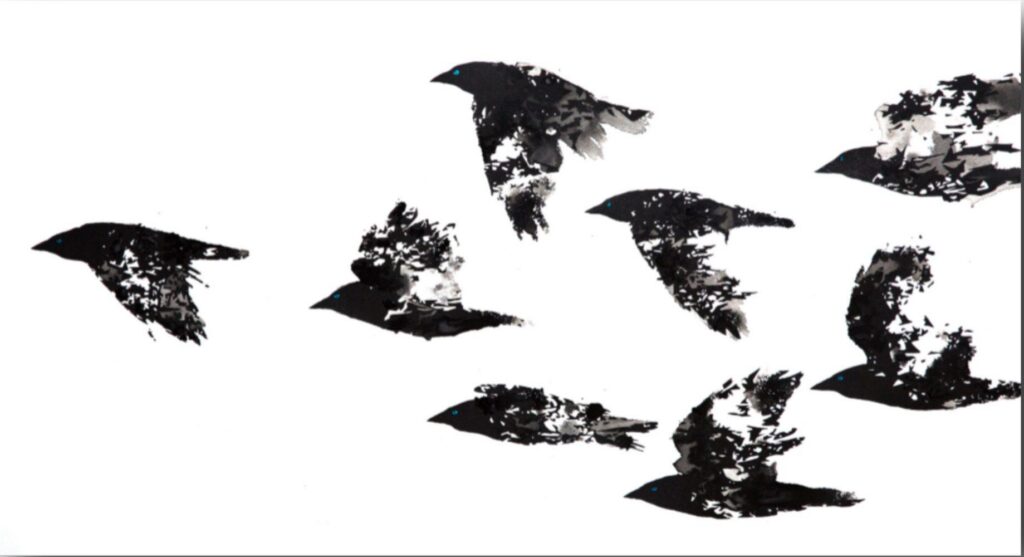 Jackdaws B&W