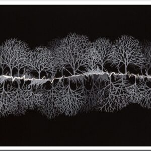 Monochrome Treescape