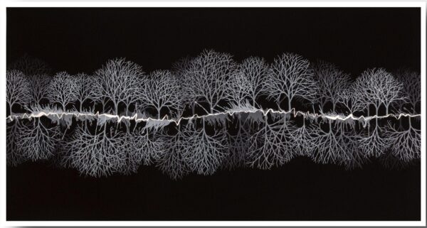 Monochrome Treescape