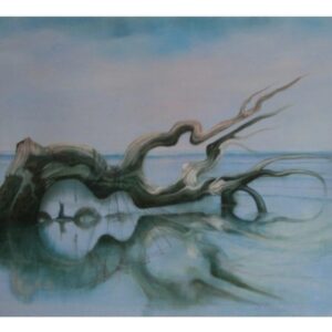 Porcupine and Guitar on the Beach