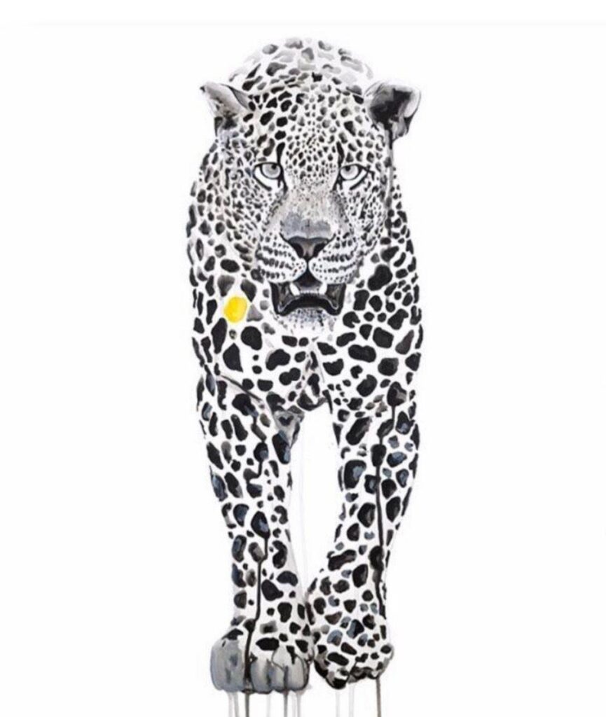 Spots
