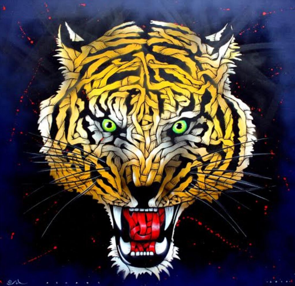 SWT Tigers head