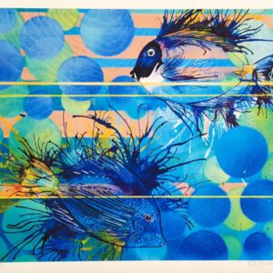 Surgeon Fish in Sharm