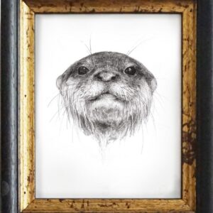 The Otter