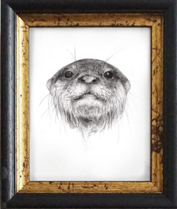 The Otter