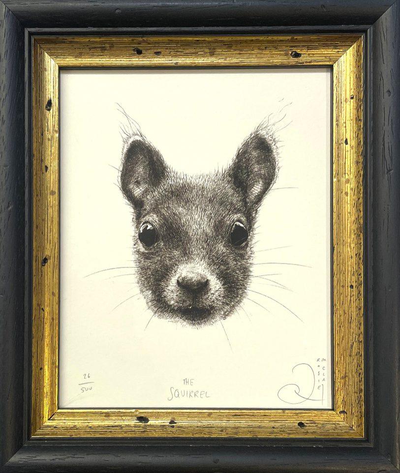The Squirrel