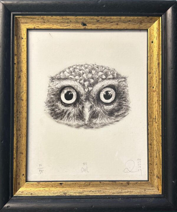 The Owl