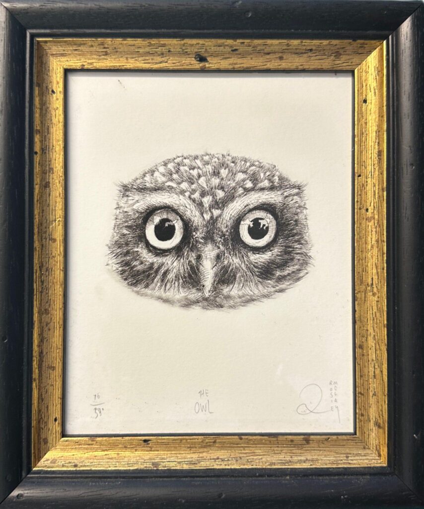 The Owl
