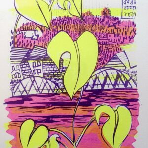 Cheese Plant Dreams