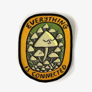 Everything is connected