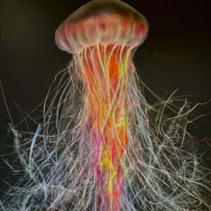 Cnidarians.1 Original