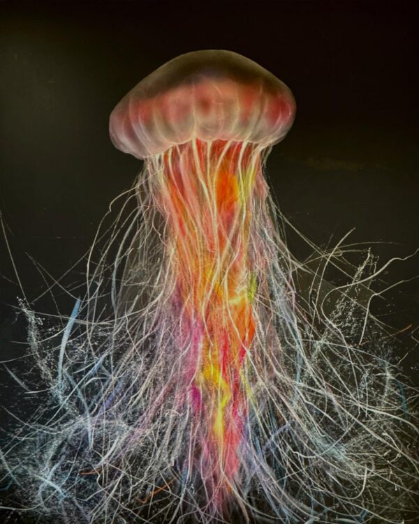 Cnidarians.1 Original