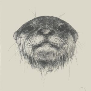 The Otter