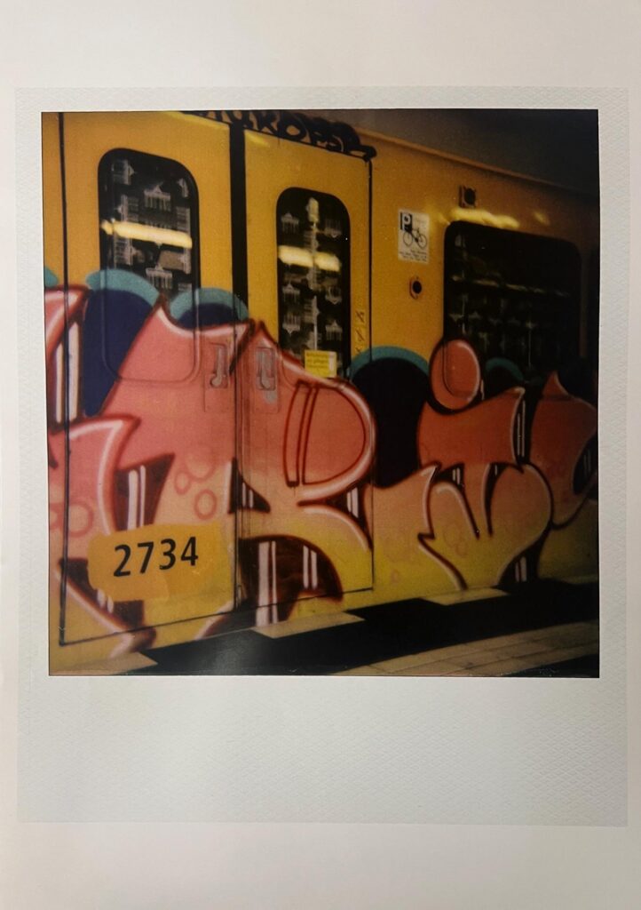 Large Polaroid #9