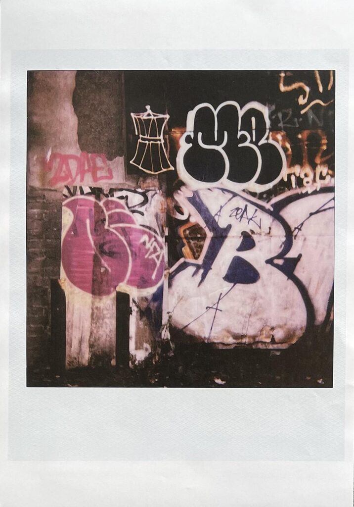 Large Polaroid #4