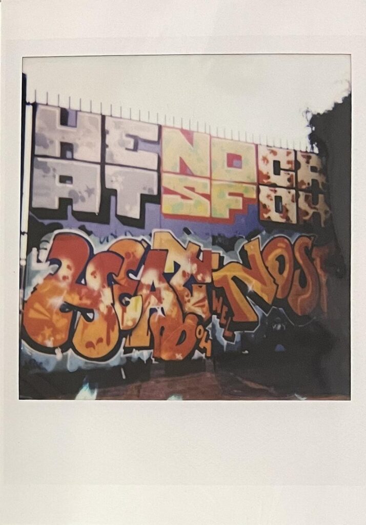 Polaroid #8