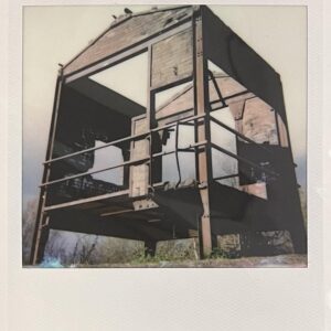 Polaroid #7