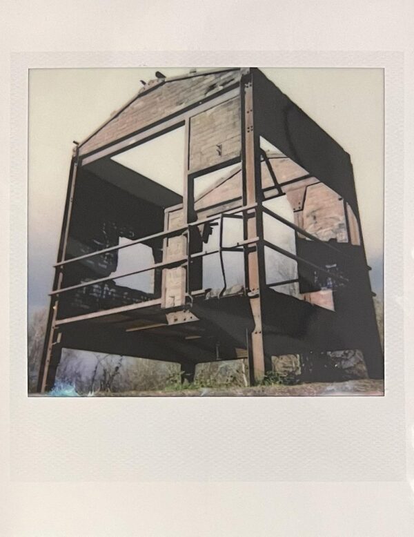 Polaroid #7