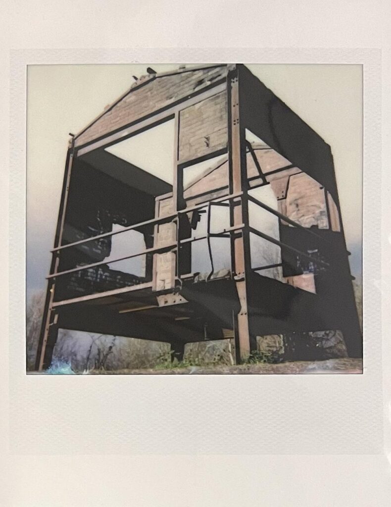 Polaroid #7