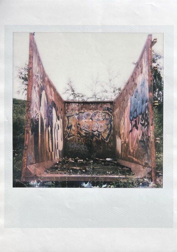 Large Polaroid #3
