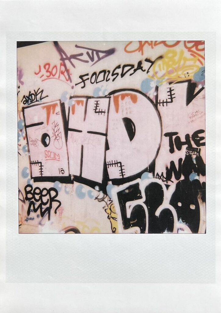 Large Polaroid #2