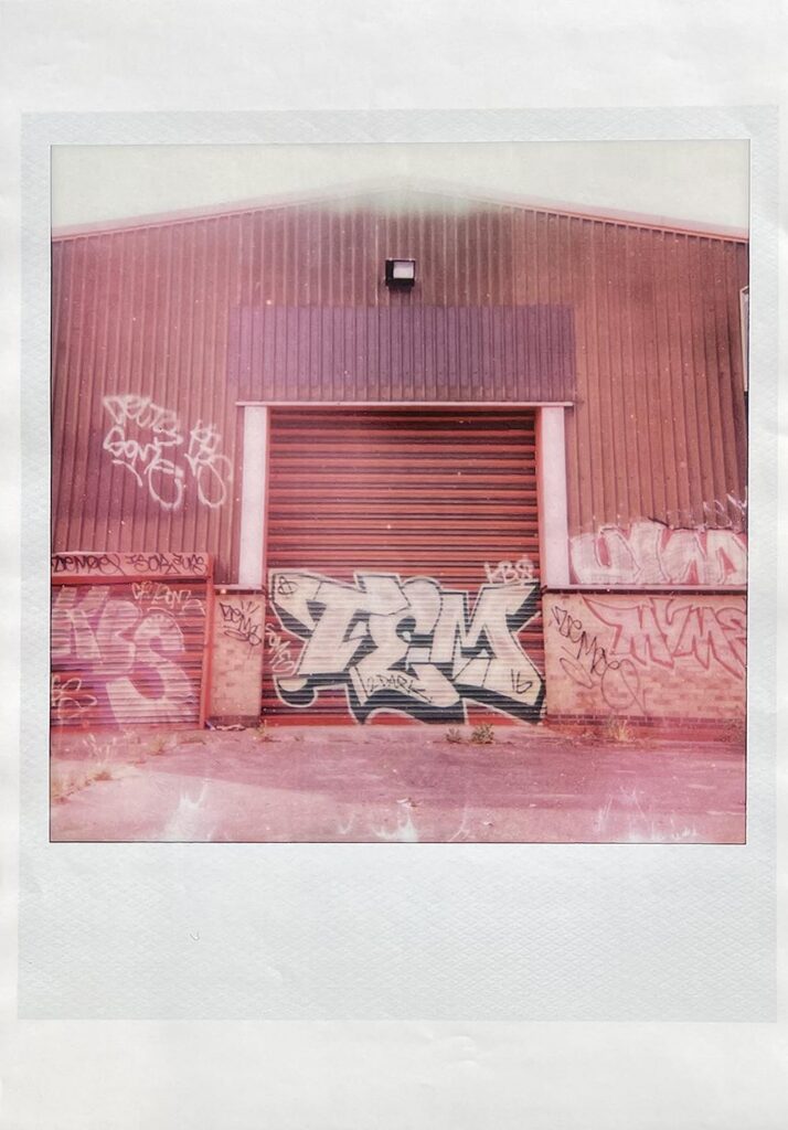 Large Polaroid #1