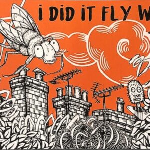 I Did it Fly Way