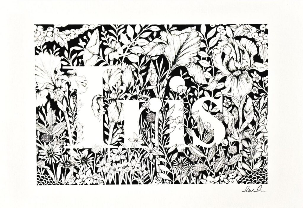 Iris