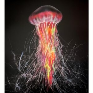 Cnidarians.1