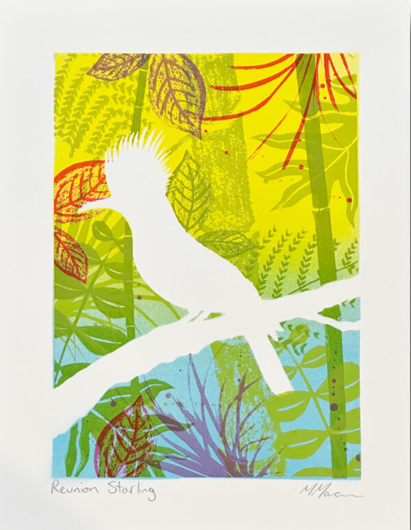 Reunion Starling - Blue