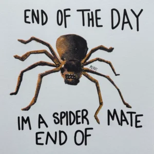Spider Mate