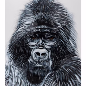 Mountain Gorilla