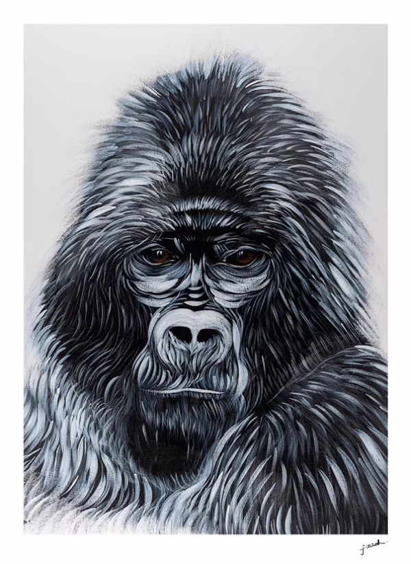 Mountain Gorilla