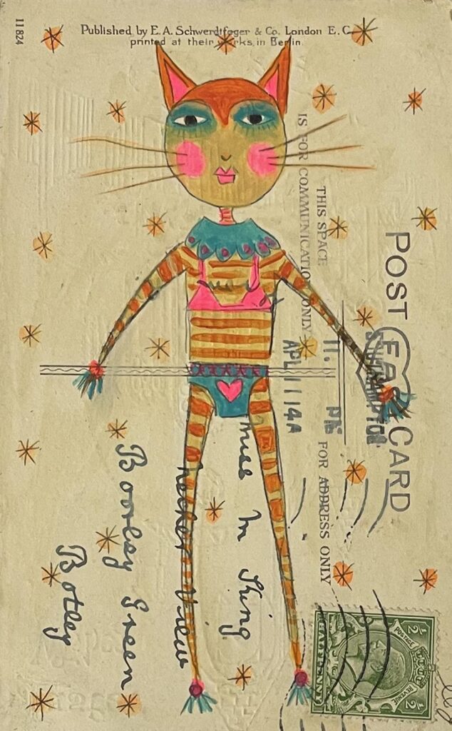 Cat