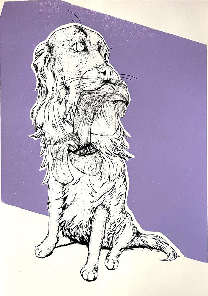 Purple Dog