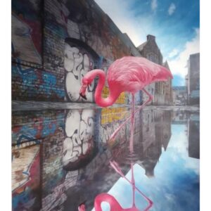 Flamingo on Moon Street