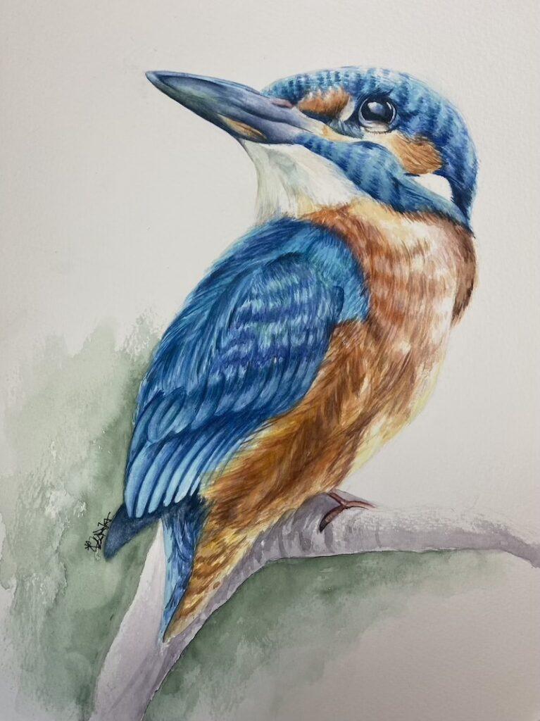 Kingfisher