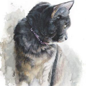 Cat's Anticipation