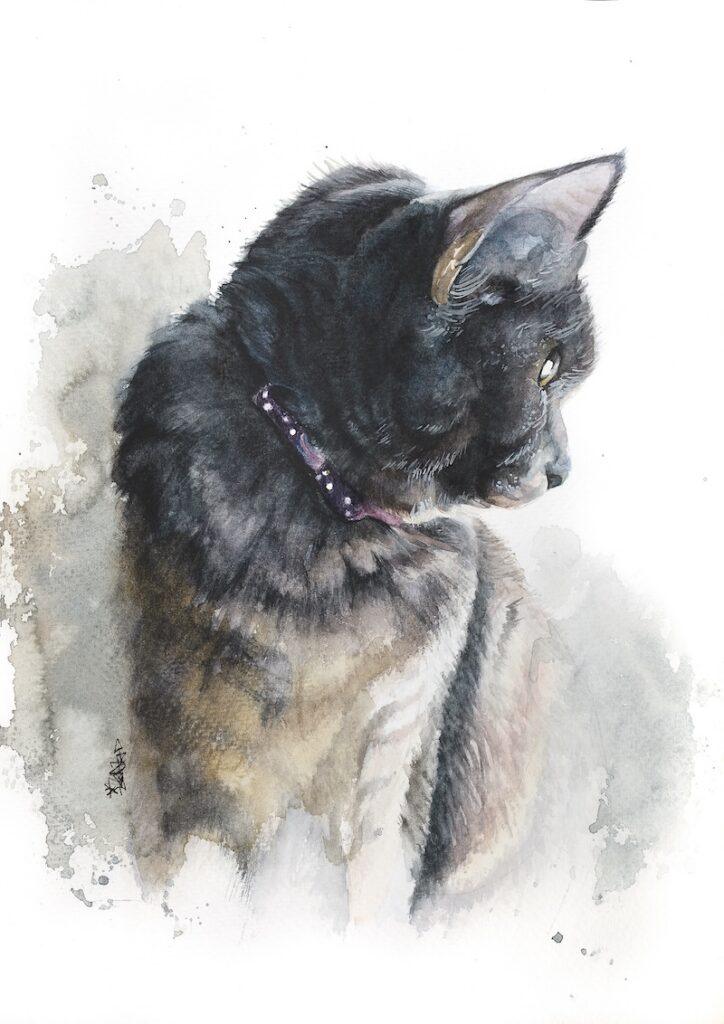 Cat's Anticipation