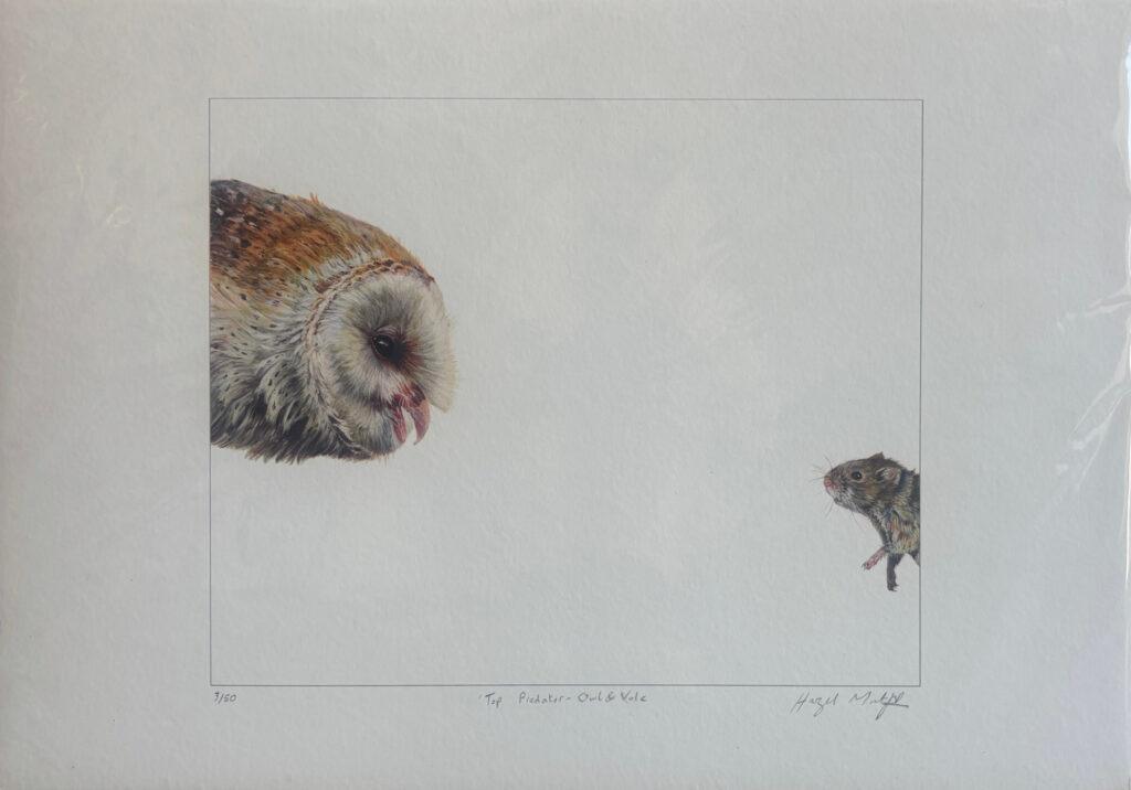 Top Predator - Owl & Vole