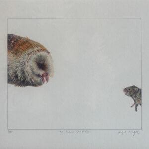 Top Predator - Owl & Vole