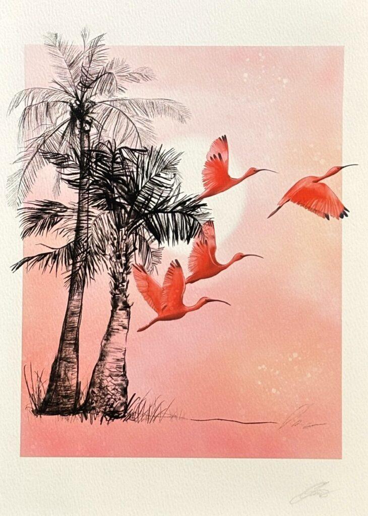 Scarlet Ibis